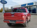 Used 2019 Ford F150 XLT w/ Equipment Group 302A Luxury image 4