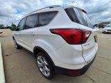 Used 2019 Ford Escape Titanium image 6