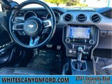 Used 2019 Ford Mustang Premium image 5