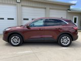Used 2021 Ford Escape SE image 4