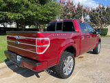 Used 2013 Ford F150 Limited image 3