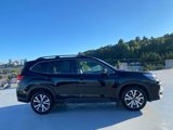 Used 2019 Subaru Forester Limited image 2
