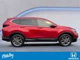 Certified 2022 Honda CR-V EX-L image 6