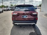 Used 2021 Ford Escape SE w/ SE Sport Appearance Package image 4