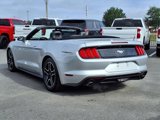 Used 2019 Ford Mustang Premium image 5