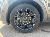 Used 2022 Kia Telluride EX w/ EX Premium Package image 6