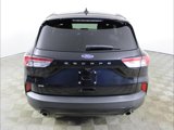 Used 2021 Ford Escape SE w/ SE Sport Appearance Package image 5