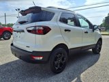 Used 2022 Ford EcoSport SES image 6