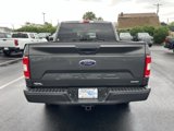 Used 2020 Ford F150 XL w/ Equipment Group 101A Mid image 6