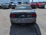 Certified 2023 Ford Mustang Premium image 4