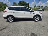 Used 2016 Ford Escape SE w/ SE Leather Comfort Package image 2