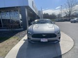 Certified 2022 Ford Mustang Premium image 3