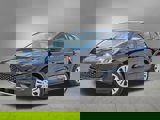 View Video