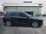Certified 2022 Ford Escape SEL image 2