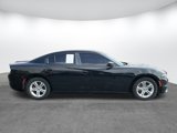 Used 2016 Dodge Charger SE image 2