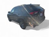 Used 2024 Toyota RAV4 XLE image 3