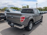 Used 2014 Ford F150 XLT w/ Equipment Group 302A Luxury image 3