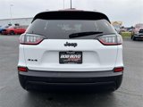 Used 2023 Jeep Cherokee Altitude Lux image 6