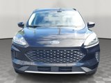 Certified 2020 Ford Escape SE Sport image 2
