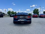 Used 2021 Ford Mustang GT Premium w/ GT Performance Package image 5