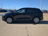 New 2025 Ford Escape Active w/ Cold Weather Package image 4