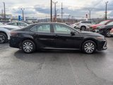 Certified 2023 Toyota Camry LE image 2