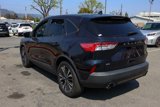 Used 2021 Ford Escape SE w/ SE Sport Appearance Package image 6