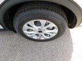 New 2025 Ford Escape Active w/ Tech Pack #1 image 5