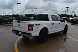 Used 2019 Ford F150 XLT image 5