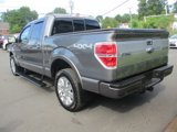 Used 2013 Ford F150 Platinum image 6
