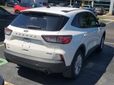 Certified 2021 Ford Escape SE image 3