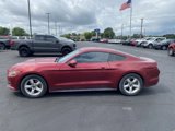 Used 2016 Ford Mustang Coupe image 2
