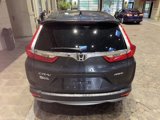 Used 2019 Honda CR-V EX image 5