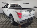 Used 2012 Ford F150 XLT w/ XLT Convenience Pkg image 4