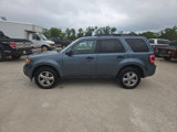 Used 2012 Ford Escape XLT image 5