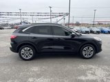Used 2022 Ford Escape SEL image 6