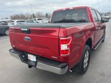 Used 2020 Ford F150 XLT w/ Equipment Group 302A Luxury image 5