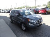 Used 2019 Ford EcoSport SE w/ SE Convenience Package image 5
