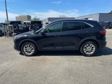 Certified 2022 Ford Escape SE w/ Convenience Package image 4