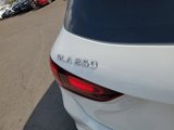 New 2025 Mercedes-Benz GLA 250 image 5