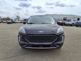 Used 2022 Ford Escape SEL image 2