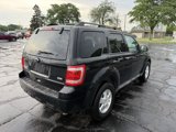 Used 2012 Ford Escape XLT image 5