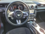 Used 2021 Ford Mustang Coupe w/ Equipment Group 101A image 4