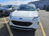 Used 2020 Ford Escape SEL image 4