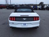 Certified 2022 Ford Mustang Premium image 4