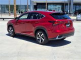 Used 2020 Lexus NX 300h AWD w/ Premium Package image 5
