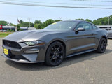 Used 2019 Ford Mustang Coupe w/ Black Accent Package image 3