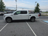 Used 2017 Ford F150 XLT w/ Equipment Group 302A Luxury image 4