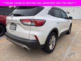 Used 2021 Ford Escape SE w/ Convenience Package image 6