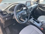 Used 2020 Ford Escape SE image 4